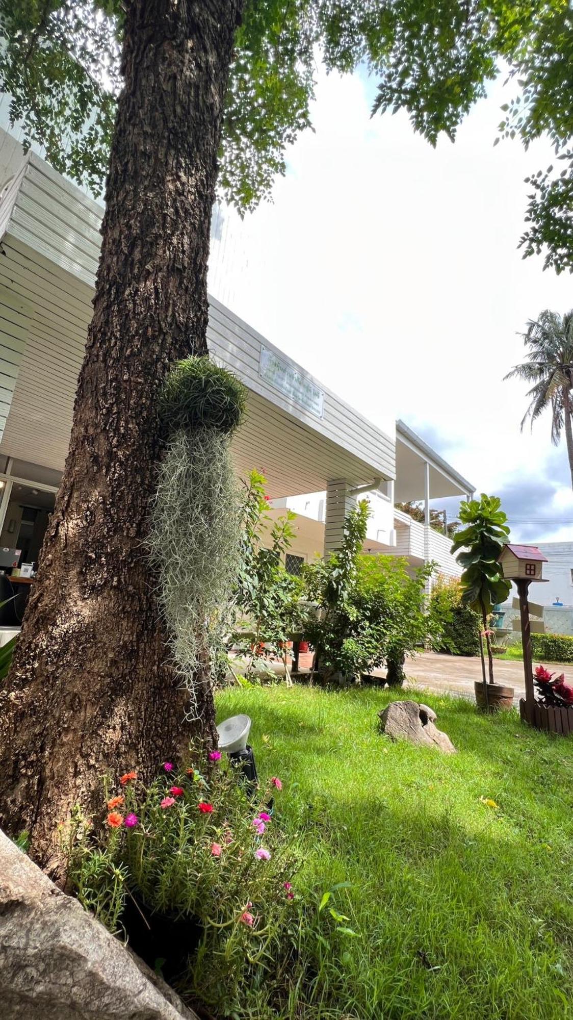 Udee Cozy Hotel เชียงใหม่ ภายนอก รูปภาพ