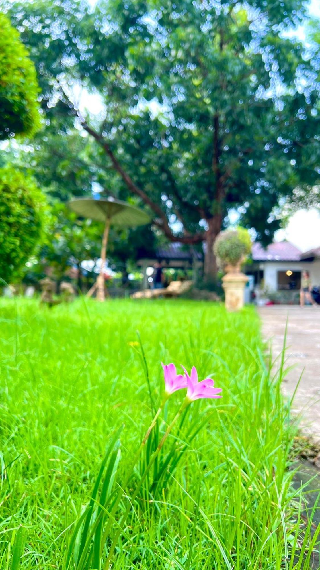 Udee Cozy Hotel เชียงใหม่ ภายนอก รูปภาพ