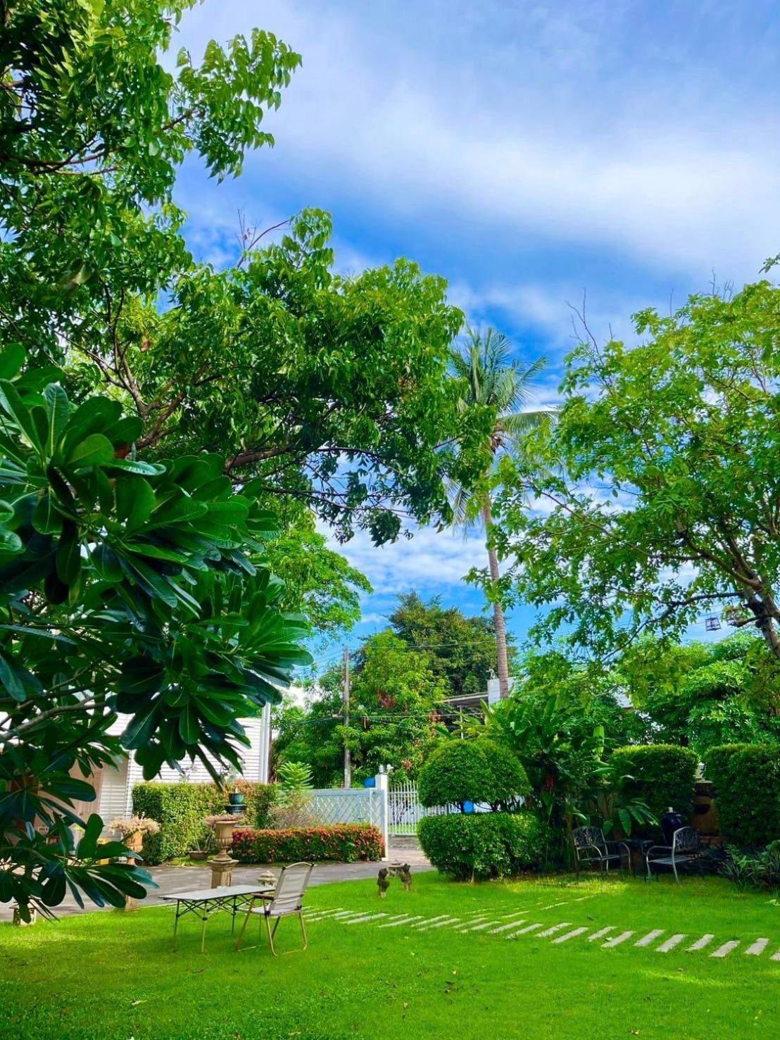 Udee Cozy Hotel เชียงใหม่ ภายนอก รูปภาพ