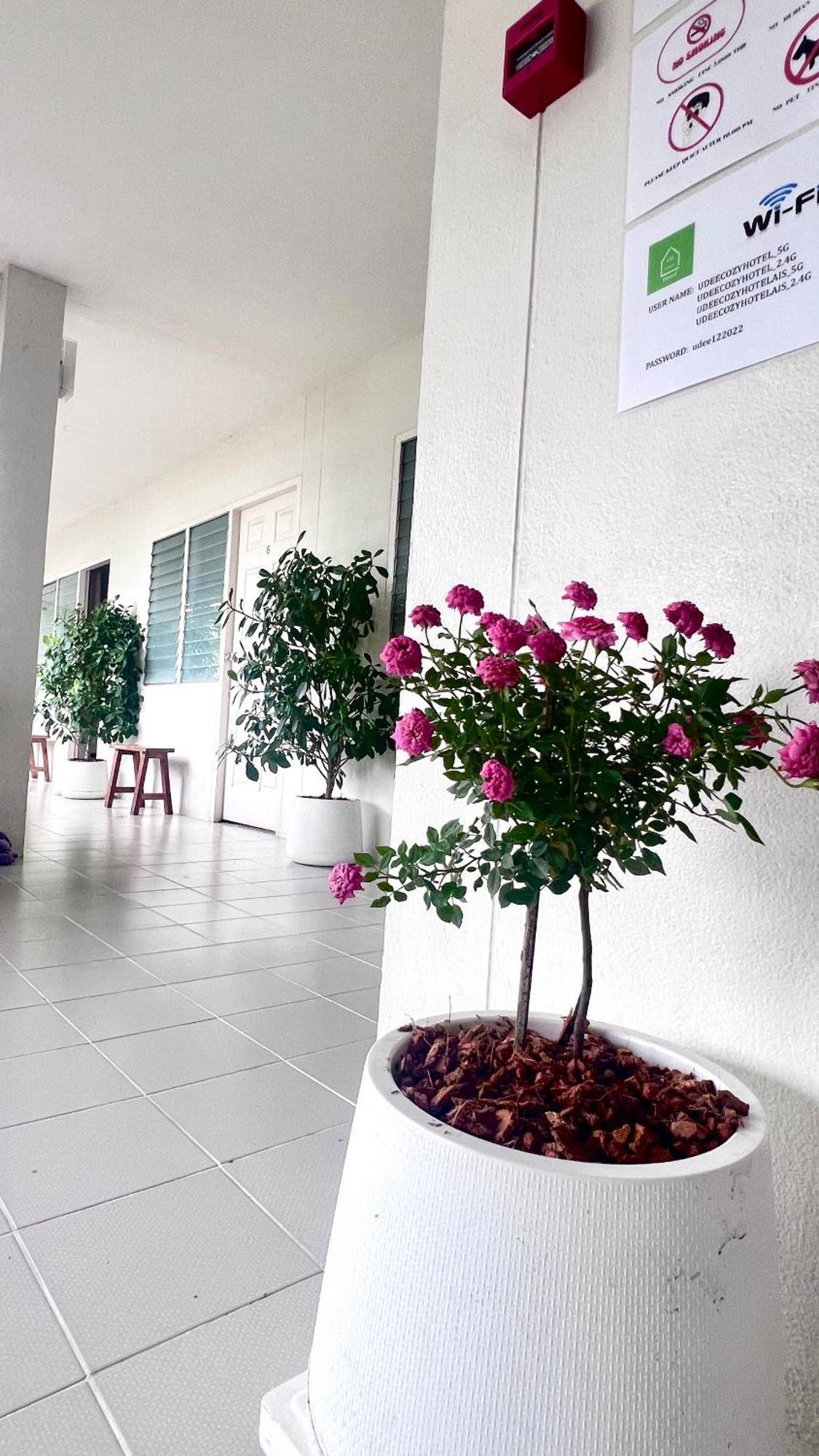 Udee Cozy Hotel เชียงใหม่ ภายนอก รูปภาพ